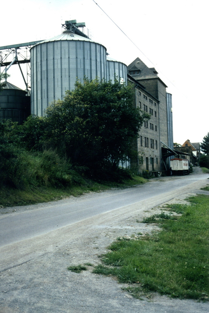 Rautenschlein, 1995